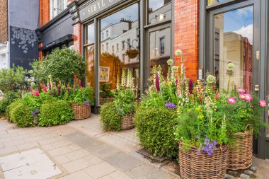 LONDON, İngiltere - 25 Mayıs 2024: Chelsea in Bloom, Chelsea sokaklarının en görkemli çiçek sergisi