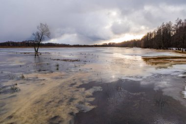 Polonya, Bialowieza 'da donmuş gölün yarısından fazlası gün doğumunda