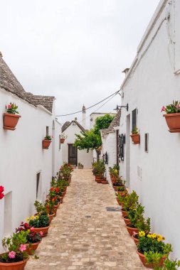 İtalya, Alberobello 'da konik çatıları olan ünlü tarihi kuru taş trulli evler..