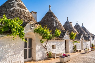 Alberobello, İtalya 'da konik çatıları olan ünlü geleneksel kuru taş trulli evler..