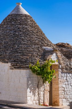 Alberobello, İtalya 'da konik çatısı olan ünlü eski ve geleneksel kuru taş trullo evi..