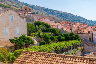 DUBROVNIK, CROATIA - 29 Haziran 2024: 1979 yılında UNESCO 'nun Dünya Mirası Listesi' nde yer alan Dubrovnik 'in ünlü tarihi Eski Kenti