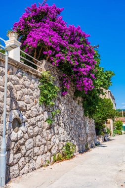 Kolocep, Dubrovnik yakınlarındaki Elaphiti Adalarından biri. Hırvatistan 'da yaz