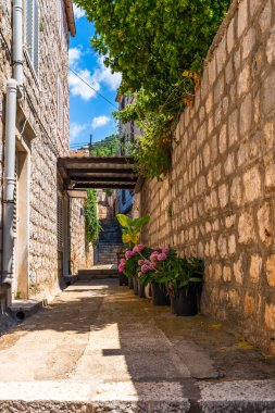 Lopud - Dubrovnik yakınlarındaki Elaphiti Adalarından biri. Hırvatistan 'da yaz