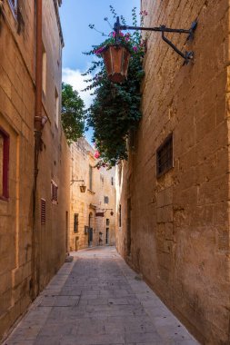 Malta 'nın tarihi Mdina şehrinde dar bir sokak.