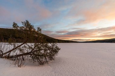 Finlandiya 'nın Akaslompolo çevresindeki Laponya' da güzel bir kış manzarası