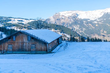 İsviçre 'nin Grindelwald kenti yakınlarındaki İsviçre Alplerinde Kleine Scheidegg Dağı' nın tepelerinde kar kaplı kışın manzarası