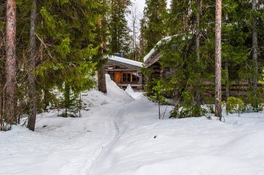 Finlandiya 'nın Akaslompolo çevresindeki Laponya' da güzel bir kış manzarası