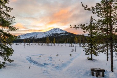 Finlandiya 'nın Akaslompolo çevresindeki Laponya' da güzel bir kış manzarası