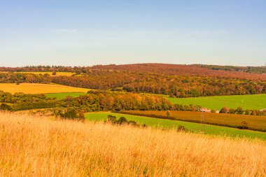 İngiltere 'nin Sussex kentindeki Halnaker Tepesi' nden İngiliz kırsal manzarası