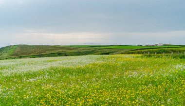 Marloes, Galler yakınlarındaki kırsal Pembrokshire manzarası