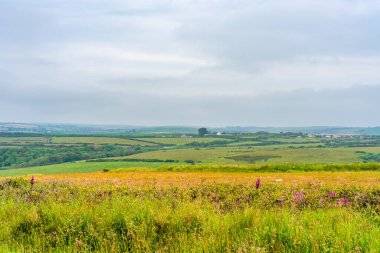 Galler 'de Pembrokeshire Sahil Yolu boyunca kırsal alan