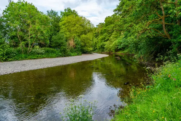 Rhayader, Elan Vadisi, Galler 'deki Wye Nehri manzarası