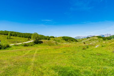 Karadağ 'ın Trsa kentindeki küçük bir köy manzarası