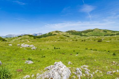 Karadağ 'ın Trsa kentindeki küçük bir köy manzarası