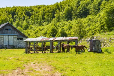 Karadağ 'ın Trsa kentindeki küçük bir köy manzarası