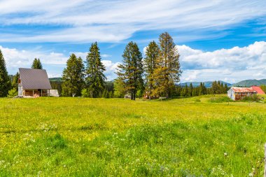 Karadağ 'ın Podgora kentinde küçük bir köy manzarası