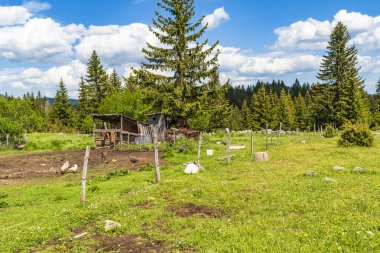 Karadağ 'ın Podgora kentinde küçük bir köy manzarası