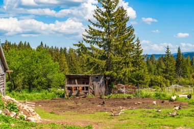 Karadağ 'ın Podgora kentinde küçük bir köy manzarası
