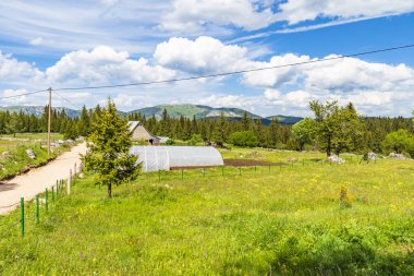 Karadağ 'ın Podgora kentinde küçük bir köy manzarası