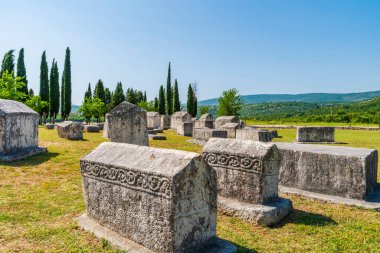 Bosna-Hersek 'in Stolac kenti yakınlarındaki bir ortaçağ anıtı olan Radimlja mezarlığında mezar taşları (stecci olarak bilinir)