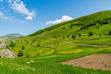 Bosna-Hersek 'in en yüksek köyü olan Lukomir yakınlarındaki kırsal bölge