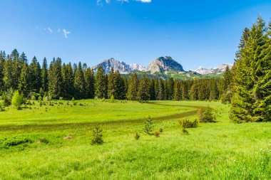 Karadağ 'ın Zabljak kenti yakınlarındaki Durmitor ulusal parkında kırsal kesim