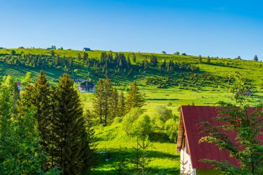Karadağ 'ın Zabljak kenti yakınlarındaki Durmitor ulusal parkında kırsal kesim