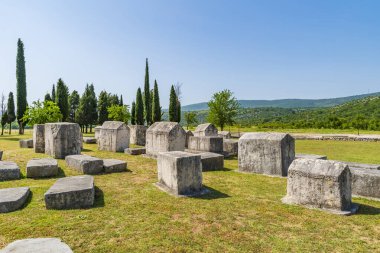 Bosna-Hersek 'in Stolac kenti yakınlarındaki bir ortaçağ anıtı olan Radimlja mezarlığında mezar taşları (stecci olarak bilinir)