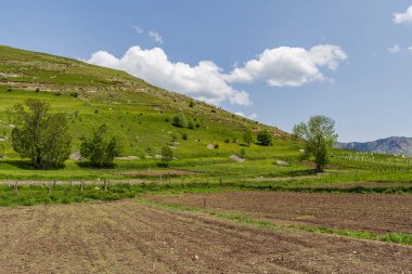 Bosna-Hersek 'in en yüksek köyü olan Lukomir' deki kırsal alan