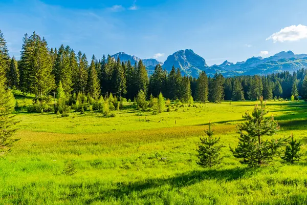 Karadağ 'ın Zabljak kenti yakınlarındaki Durmitor ulusal parkında kırsal kesim
