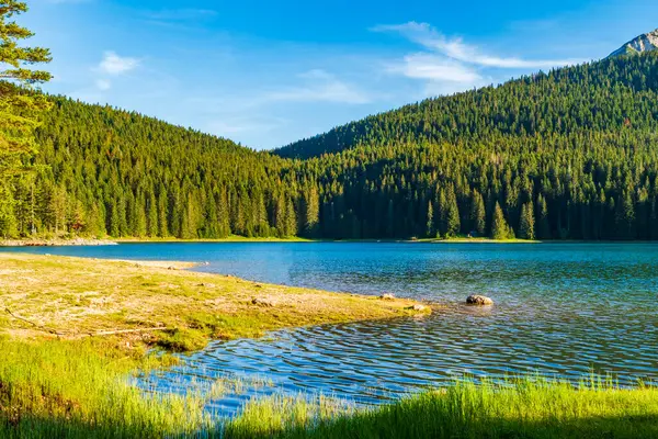 Kuzey Karadağ 'daki Zabljak Belediyesindeki Kara Göl