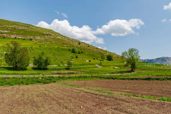 Bosna-Hersek 'in en yüksek köyü olan Lukomir' deki kırsal alan