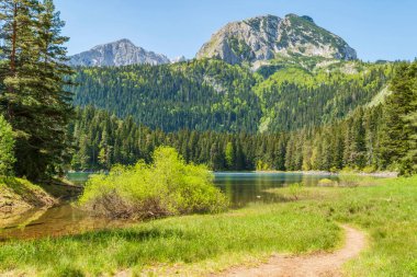 Kuzey Karadağ 'daki Zabljak Belediyesindeki Kara Göl