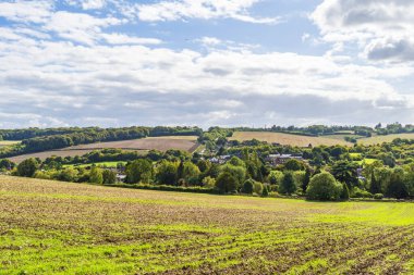 Amersham, İngiltere yakınlarındaki tarımsal tarla manzarası