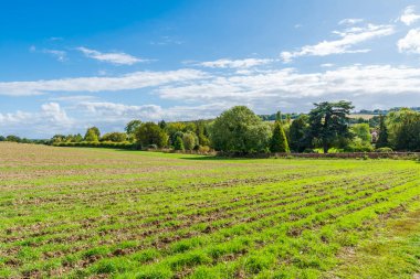 Amersham, İngiltere yakınlarındaki tarımsal tarla manzarası