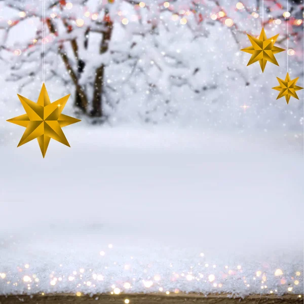 Χριστουγεννιάτικα Χρυσά Αστέρια Και Χειμερινά Δέντρα — Φωτογραφία Αρχείου