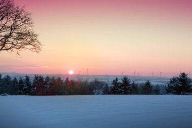 Ağaçlarla kaplı kış manzarası ve gün batımı.