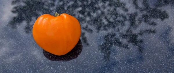 灰色背景下的黄色心形西红柿 — 图库照片