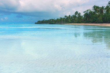 Etrafta palmiyeler olan tropik plaj manzarası. Karayip denizi ve yeşil palmiye ağaçları.