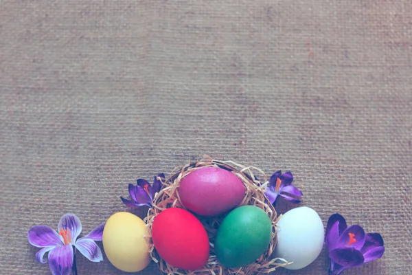 Фіолетові Крокуси Великодні Яйця Коричневій Тканині Фон Весняна Вітальна Листівка — стокове фото