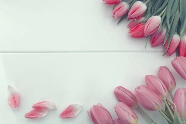 Εορταστική Ροζ Τουλίπες Διακόσμηση Λευκό Φόντο Ανοιξιάτικη Κάρτα — Φωτογραφία Αρχείου