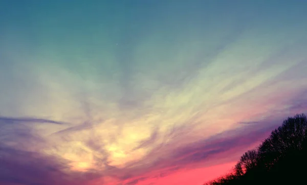 Zachód Słońca Nad Ciemnymi Drzewami Pochmurnym Niebie — Zdjęcie stockowe
