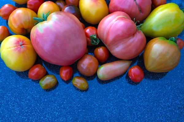 Grupo Tomates Colores Aislados Gris —  Fotos de Stock