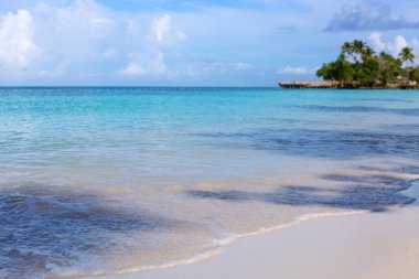 Beyaz kumlu ve kakao palmiyeli tropik cennet kumsalı. Seyahat arka planı kavramı..