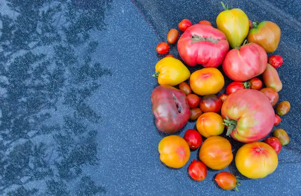 Gruppo Pomodori Colorati Isolati Grigio — Foto Stock