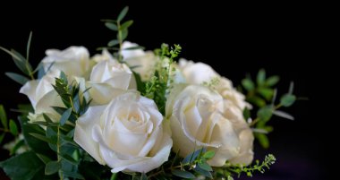 Siyah arka planda beyaz düğün gülleri kapalı .