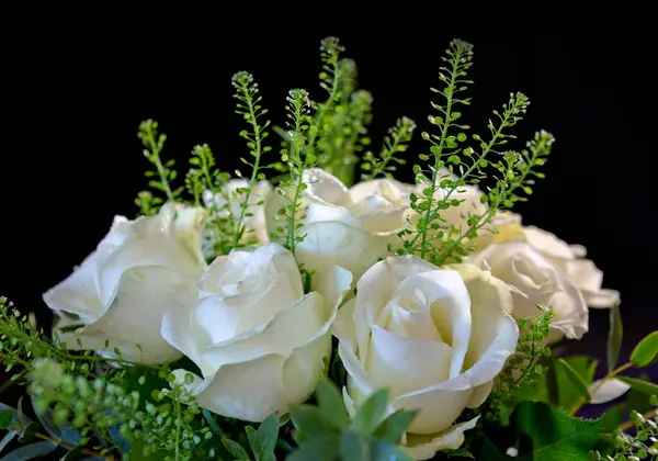 Las Rosas Blancas Boda Cierran Aisladas Sobre Fondo Negro — Foto de Stock