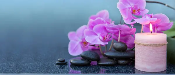 Rosa Orchideenblüten Und Wellness Steine Auf Grauem Hintergrund Stockbild