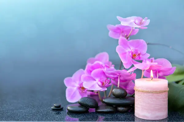 Roze Orchidee Bloemen Spa Stenen Een Grijze Achtergrond Stockfoto
